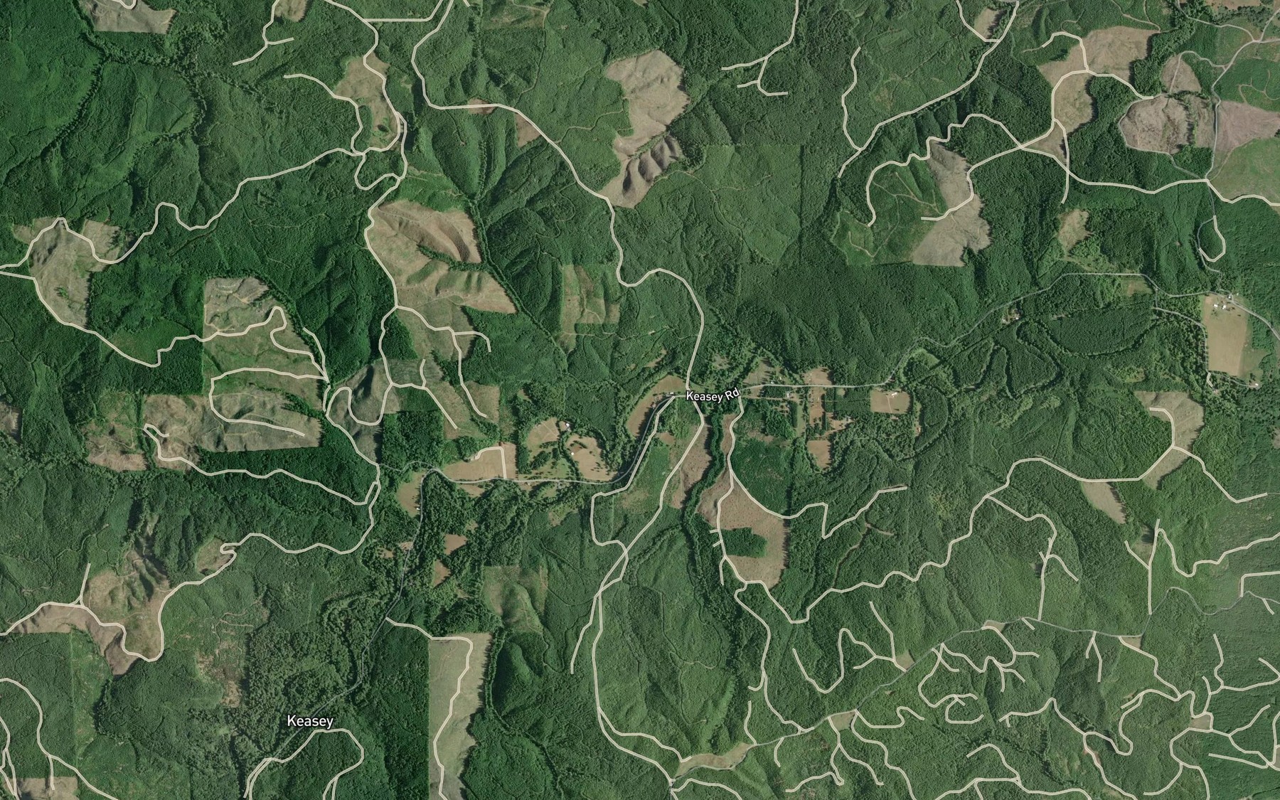 Satellite map of the Ivy Creek