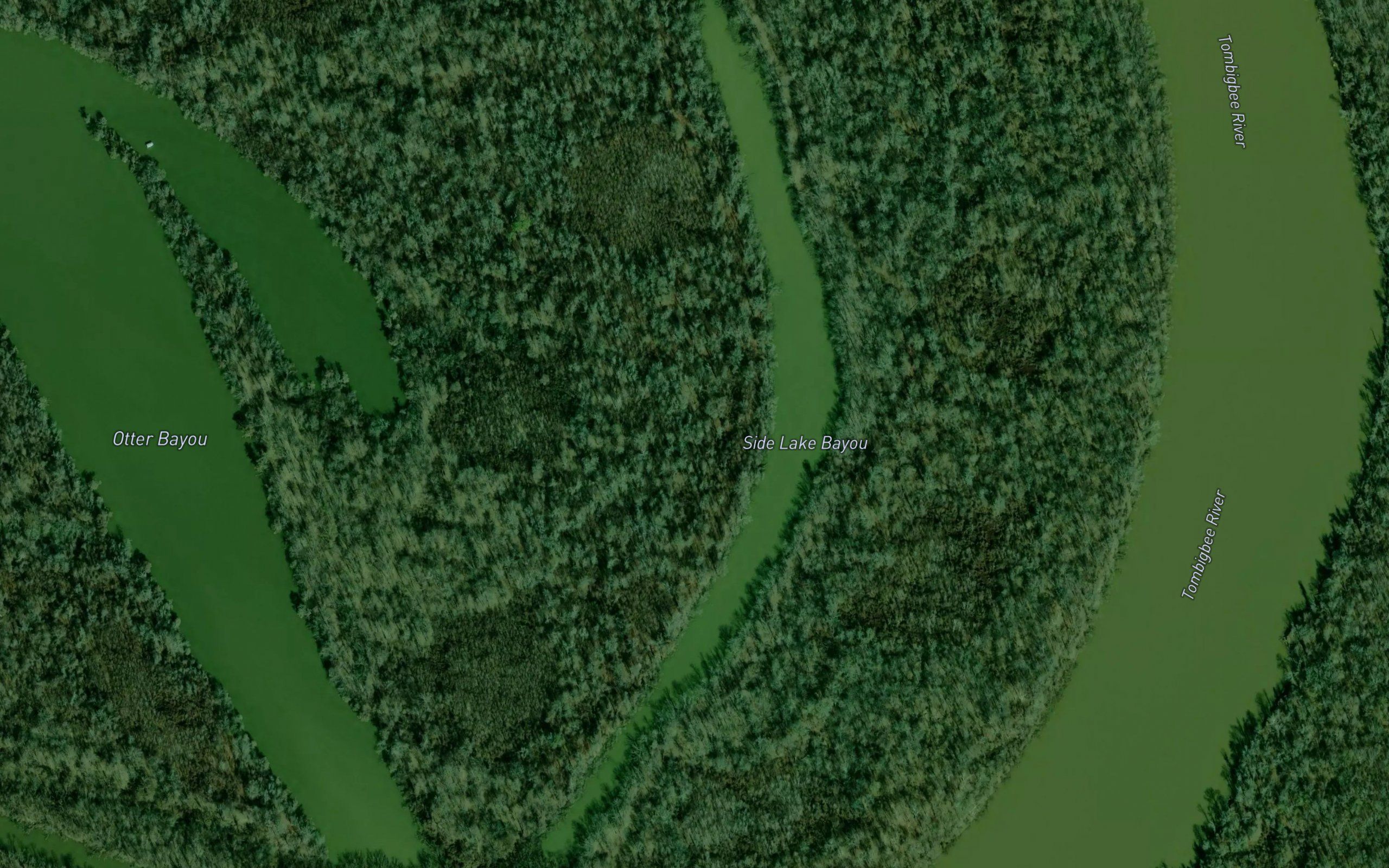 Side Lake Bayou