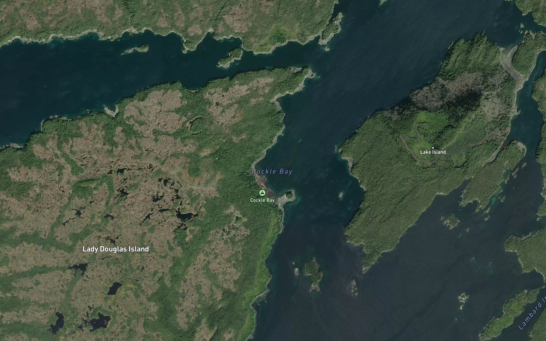 Satellite map of the Cockle Bay