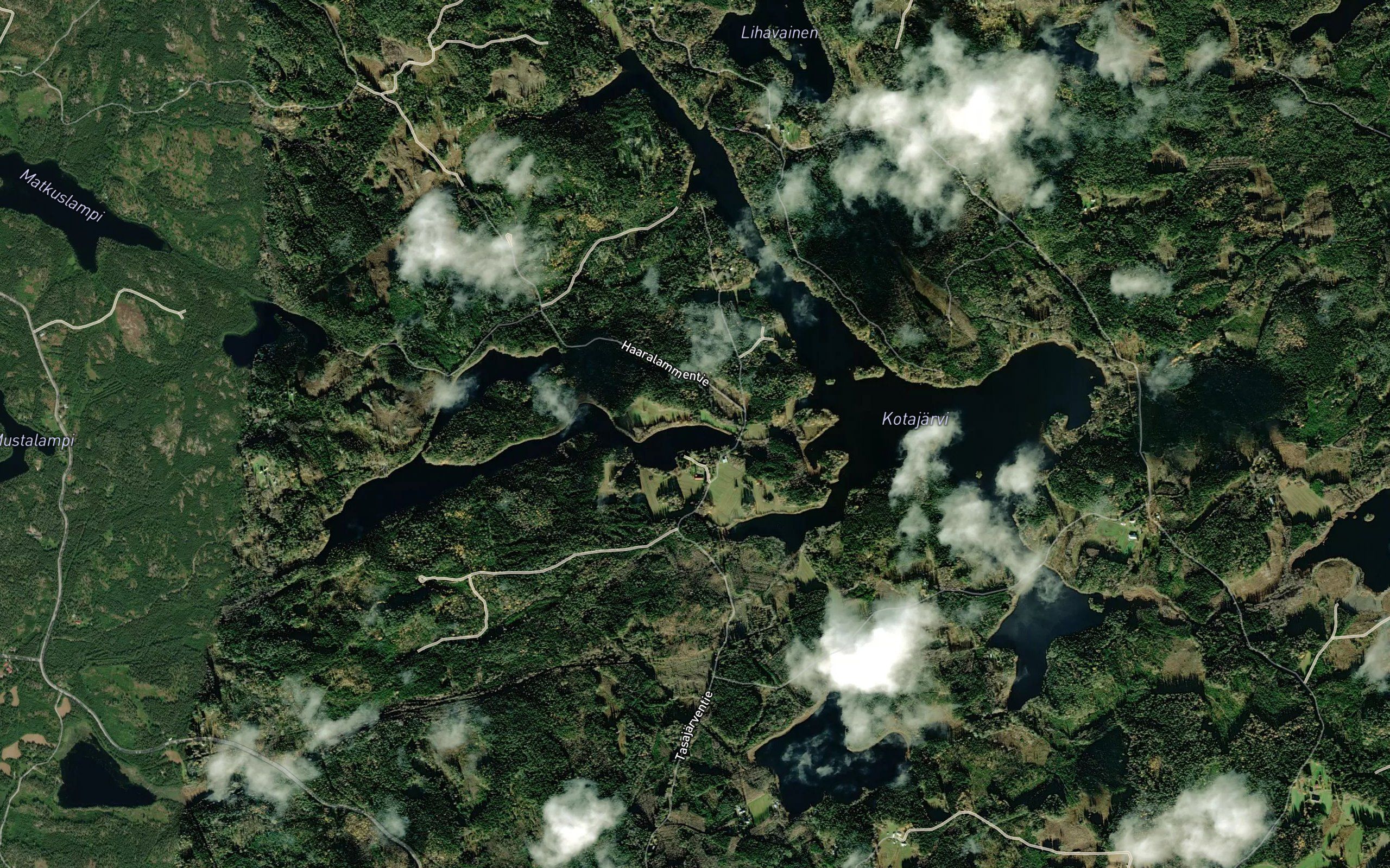 Viitalahti