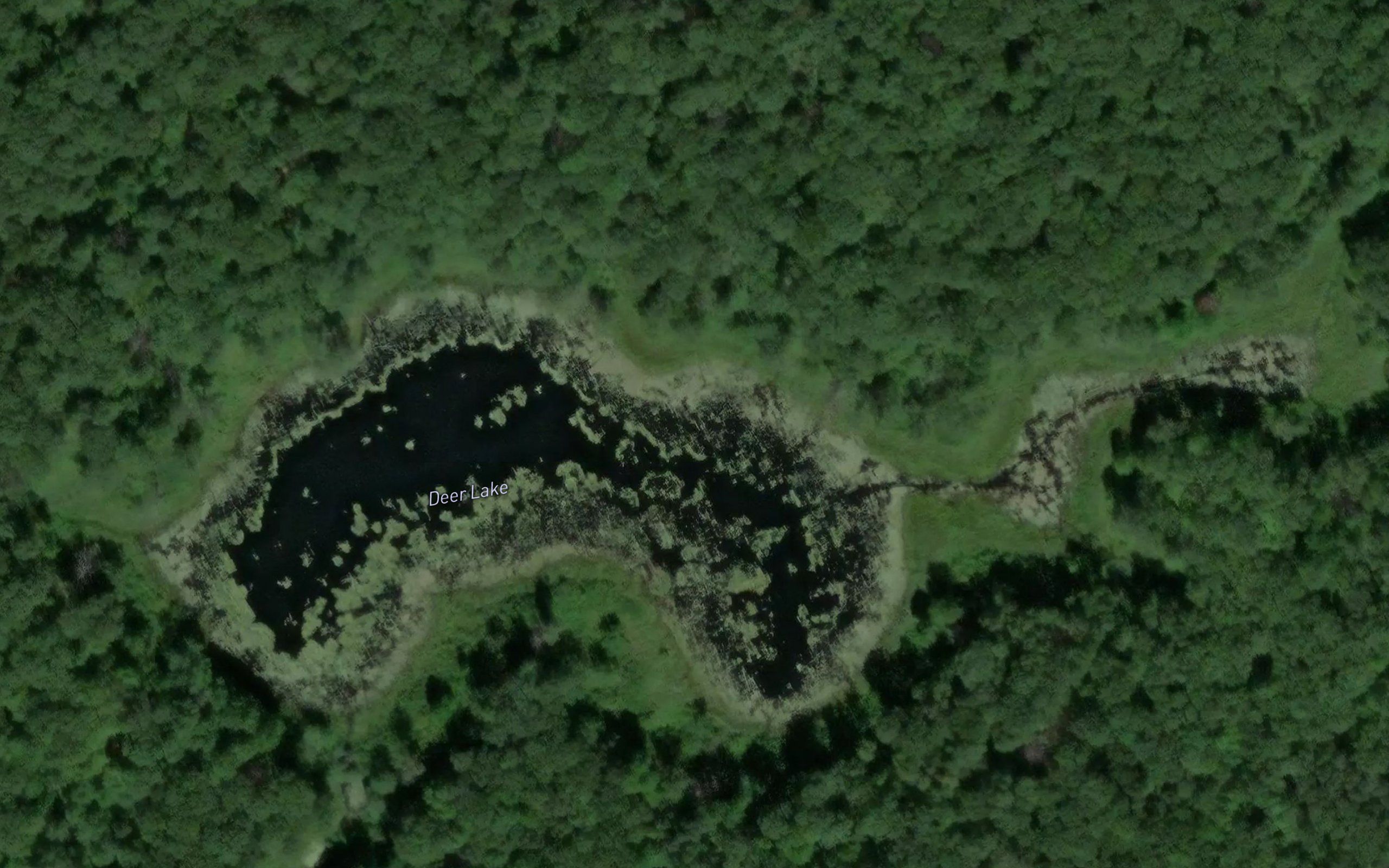 Deer Lake