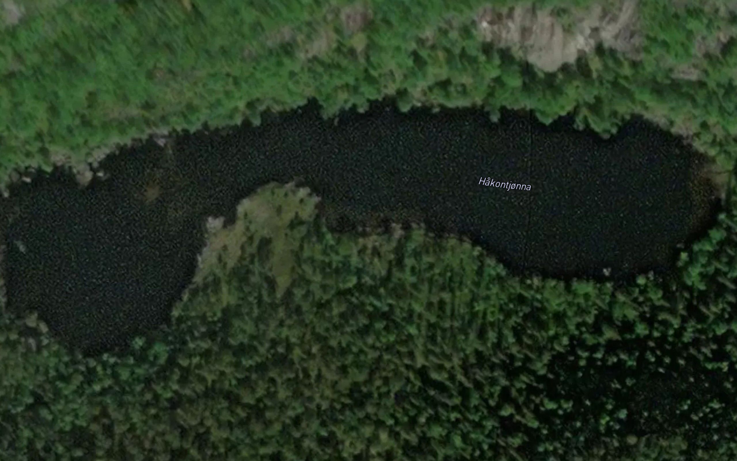 Hakontjorna