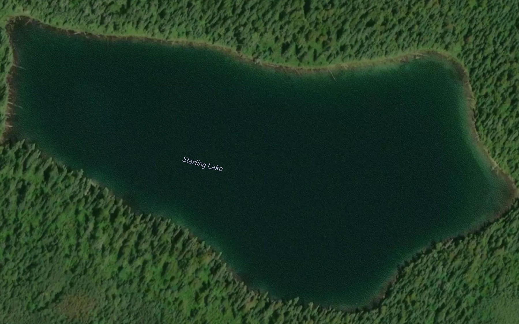 Satellite map of the Starling Lake