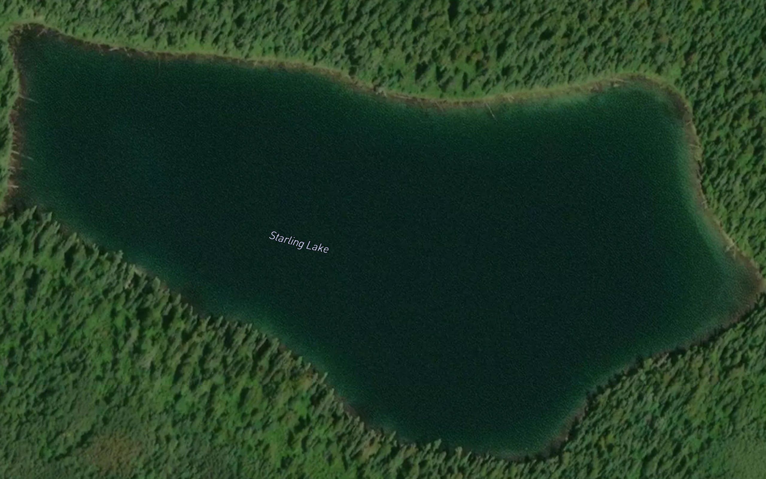 Starling Lake