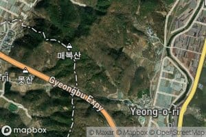 Odongji
