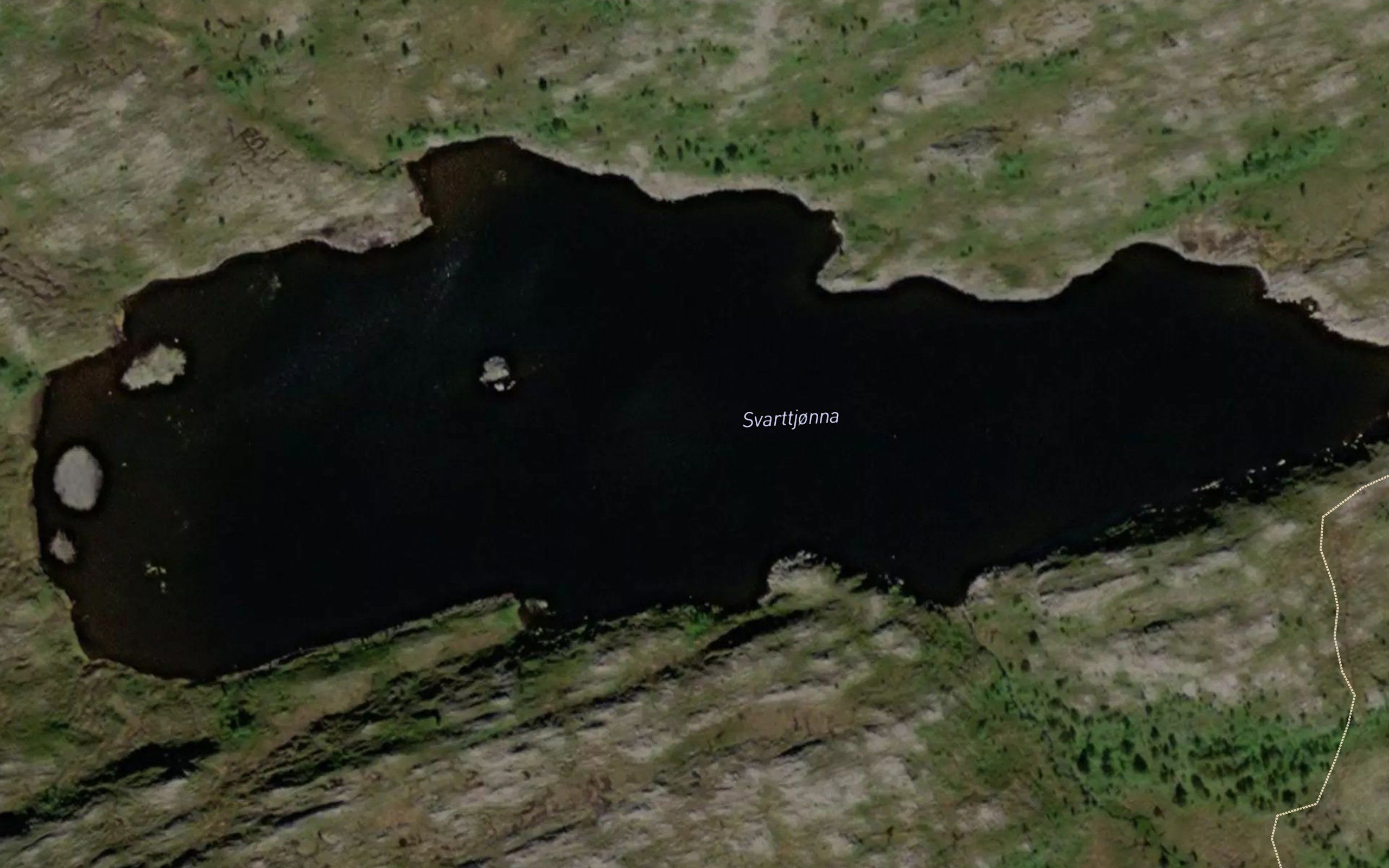Svarttjorna