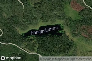 Hangaslammi