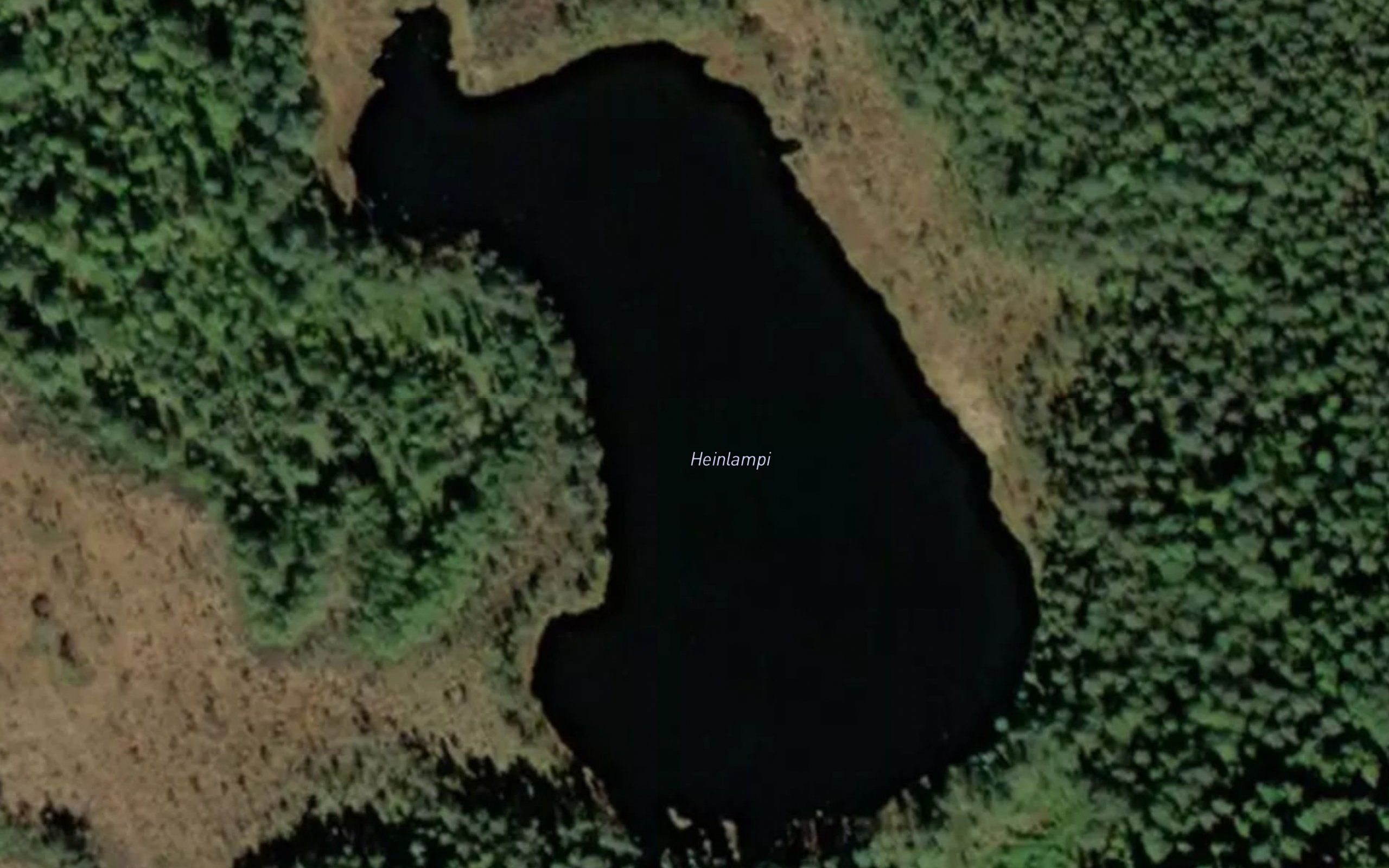 Heinlampi