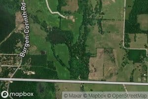Holt Creek
