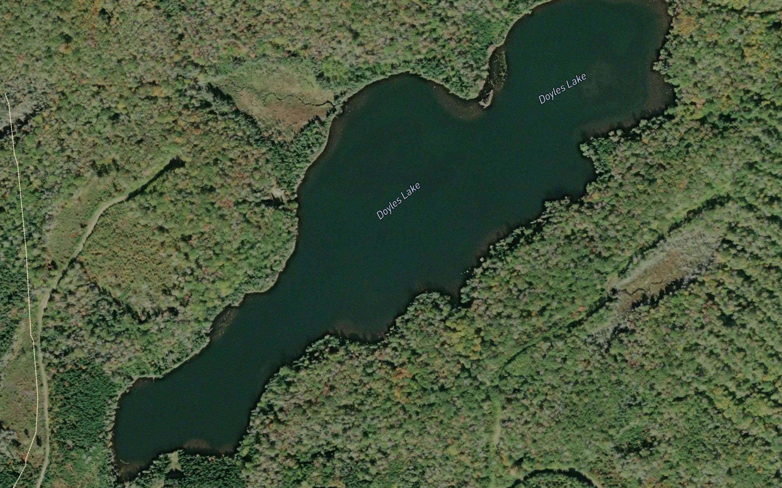 Doyles Lake