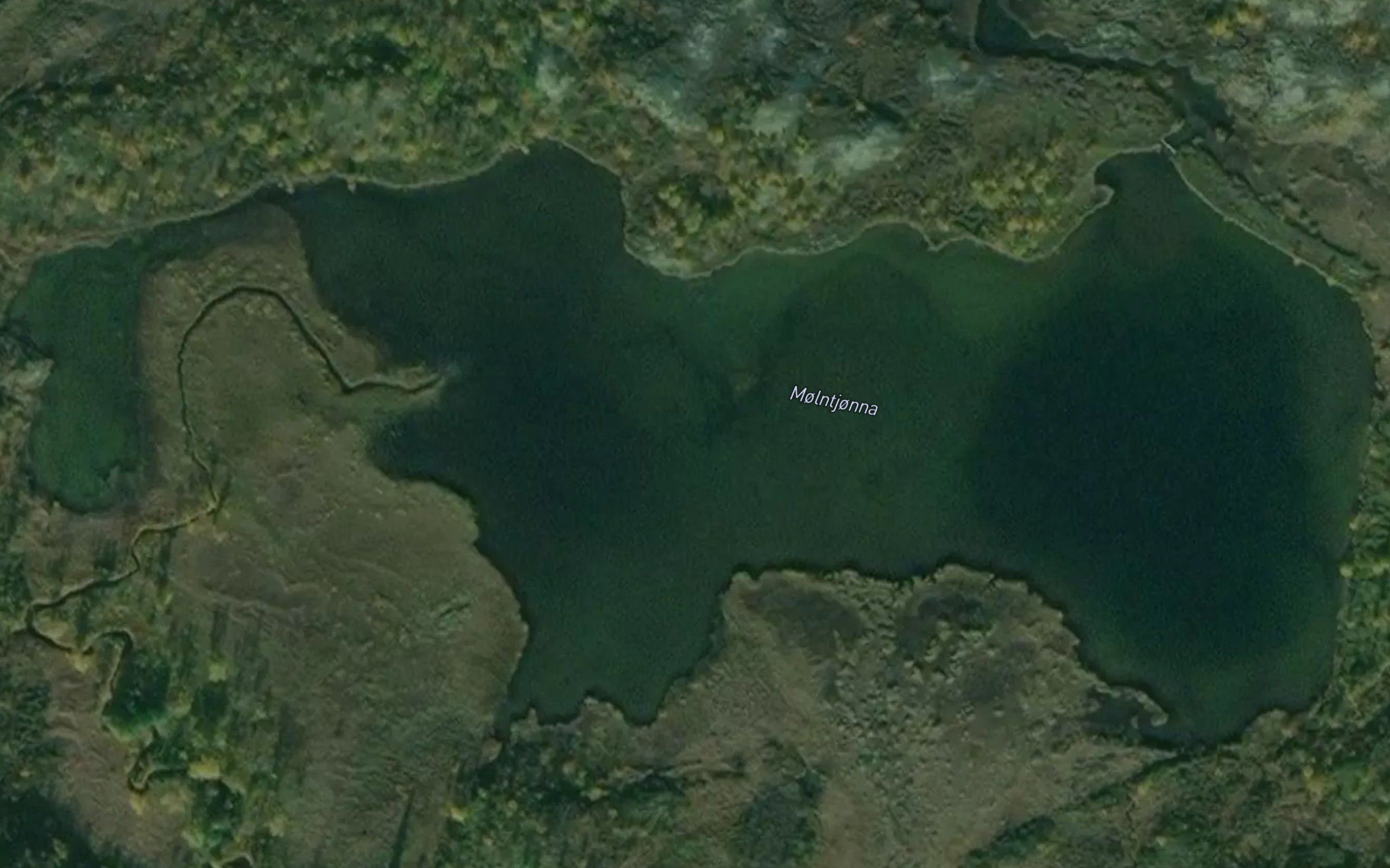 Molntjorna
