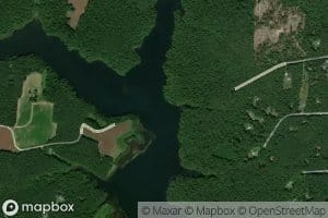 Beech Swamp