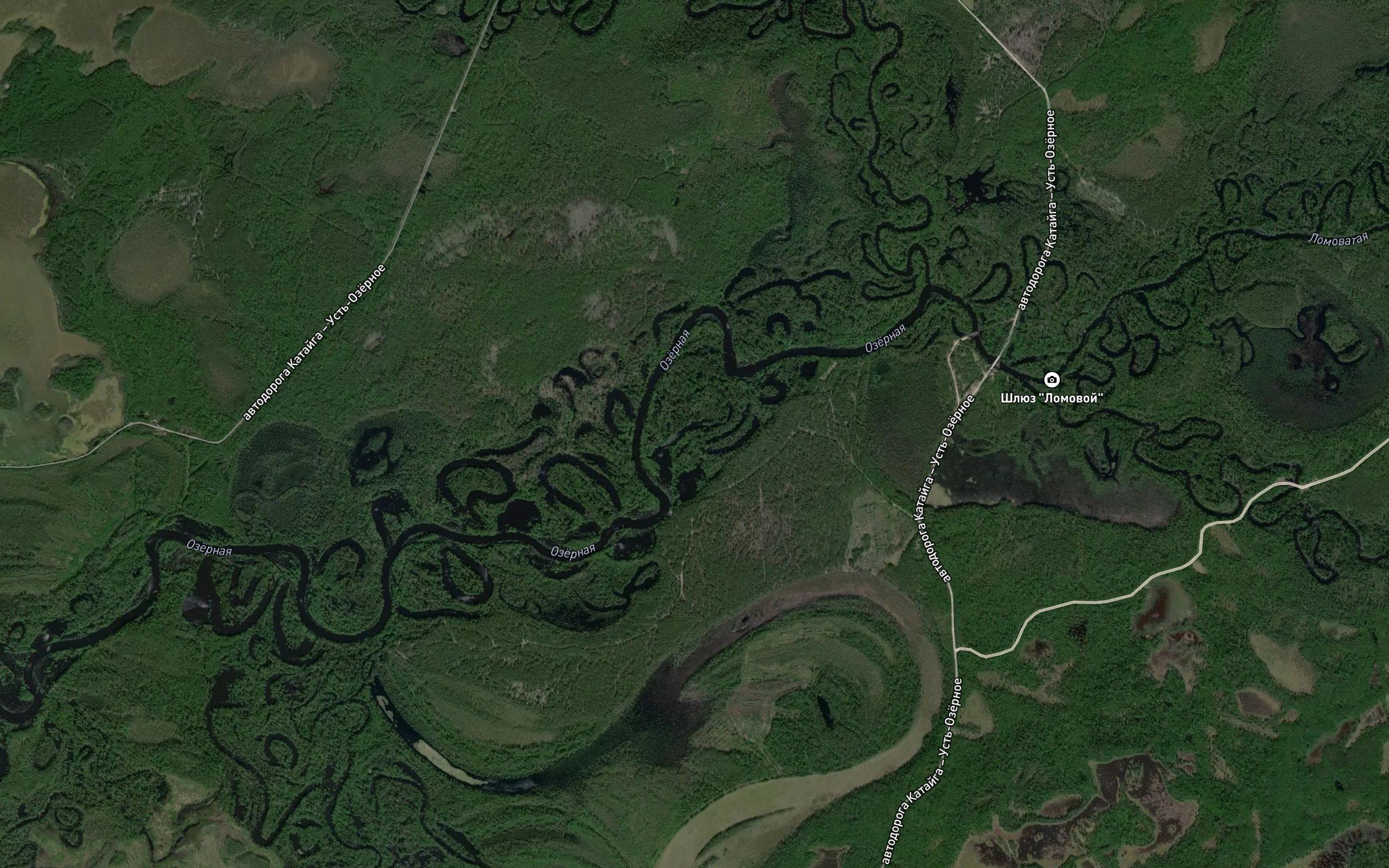 Kedrovaya