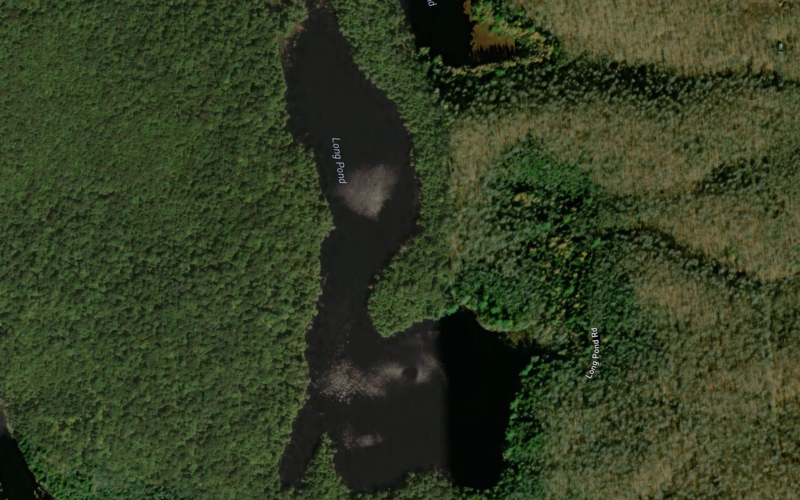 Long Pond