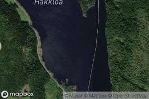 Hakkloa