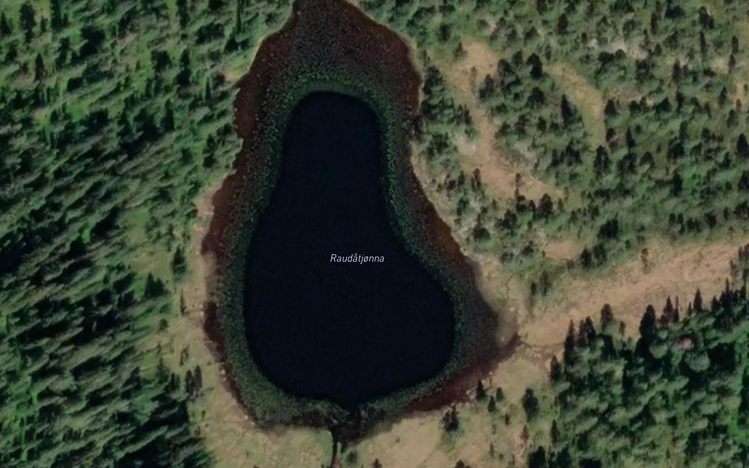 Raudatjorna