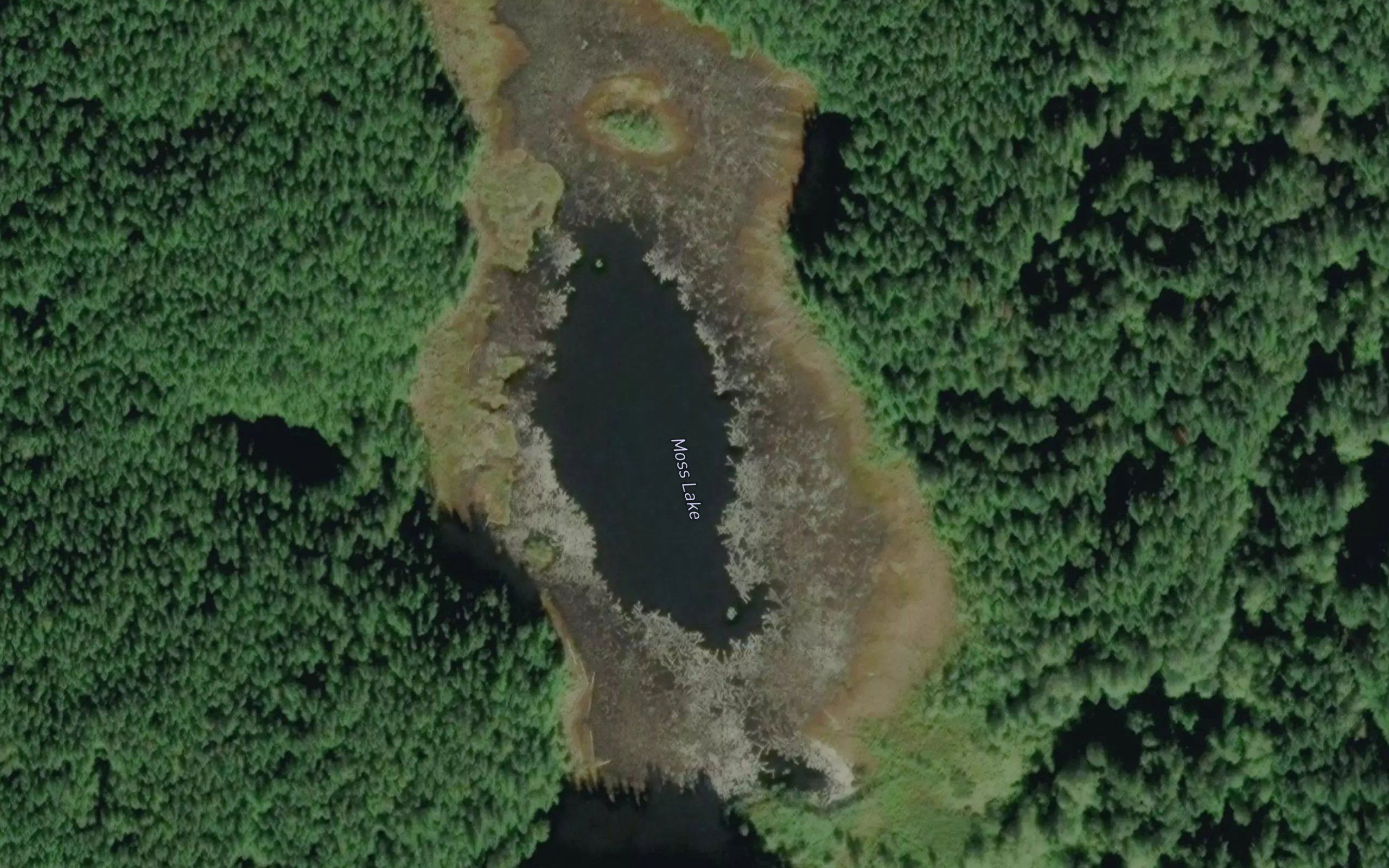 Moss Lake