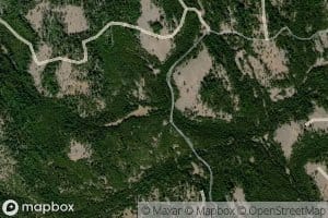 Turpentine Creek