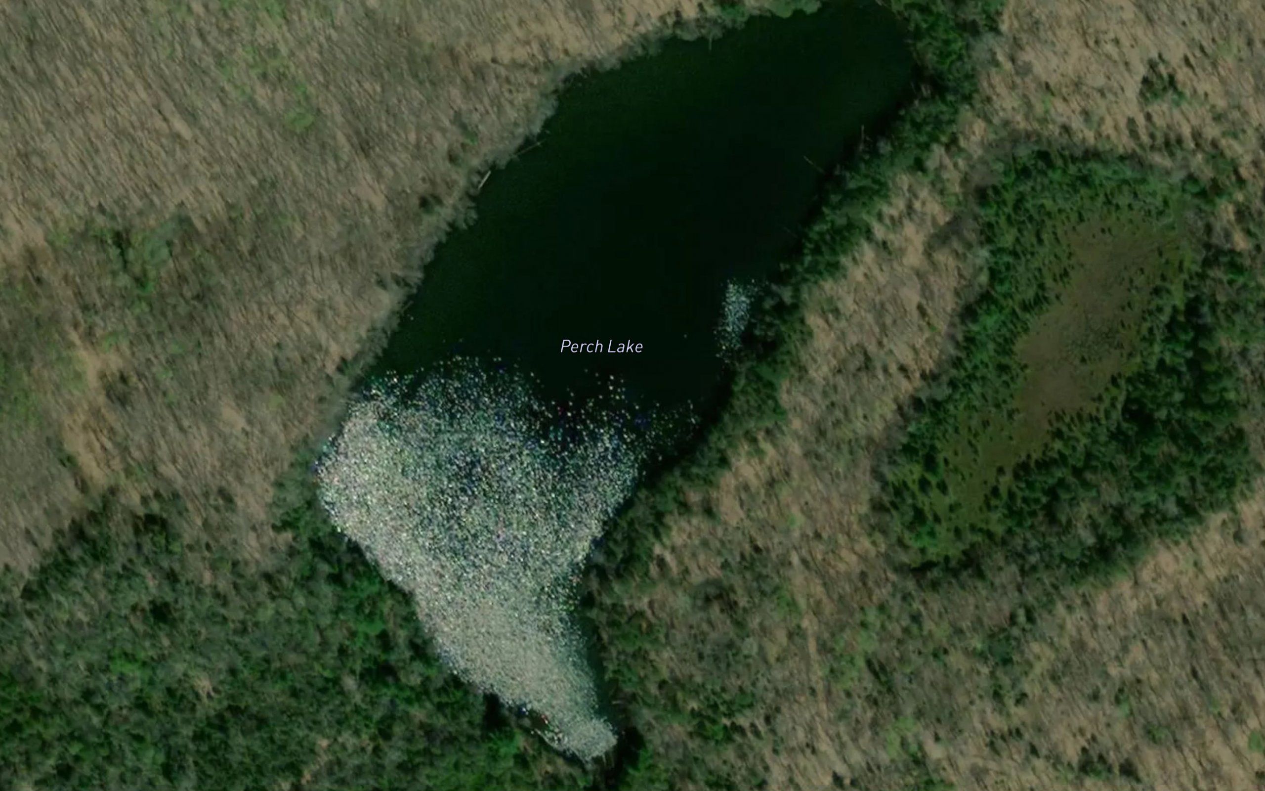 Perch Lake