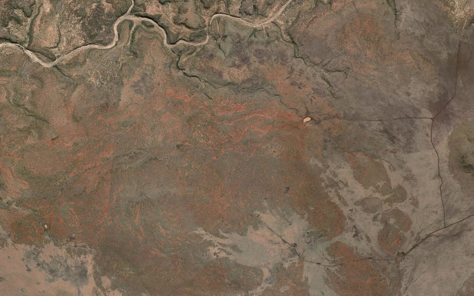 Satellite map of the Figtree Spring