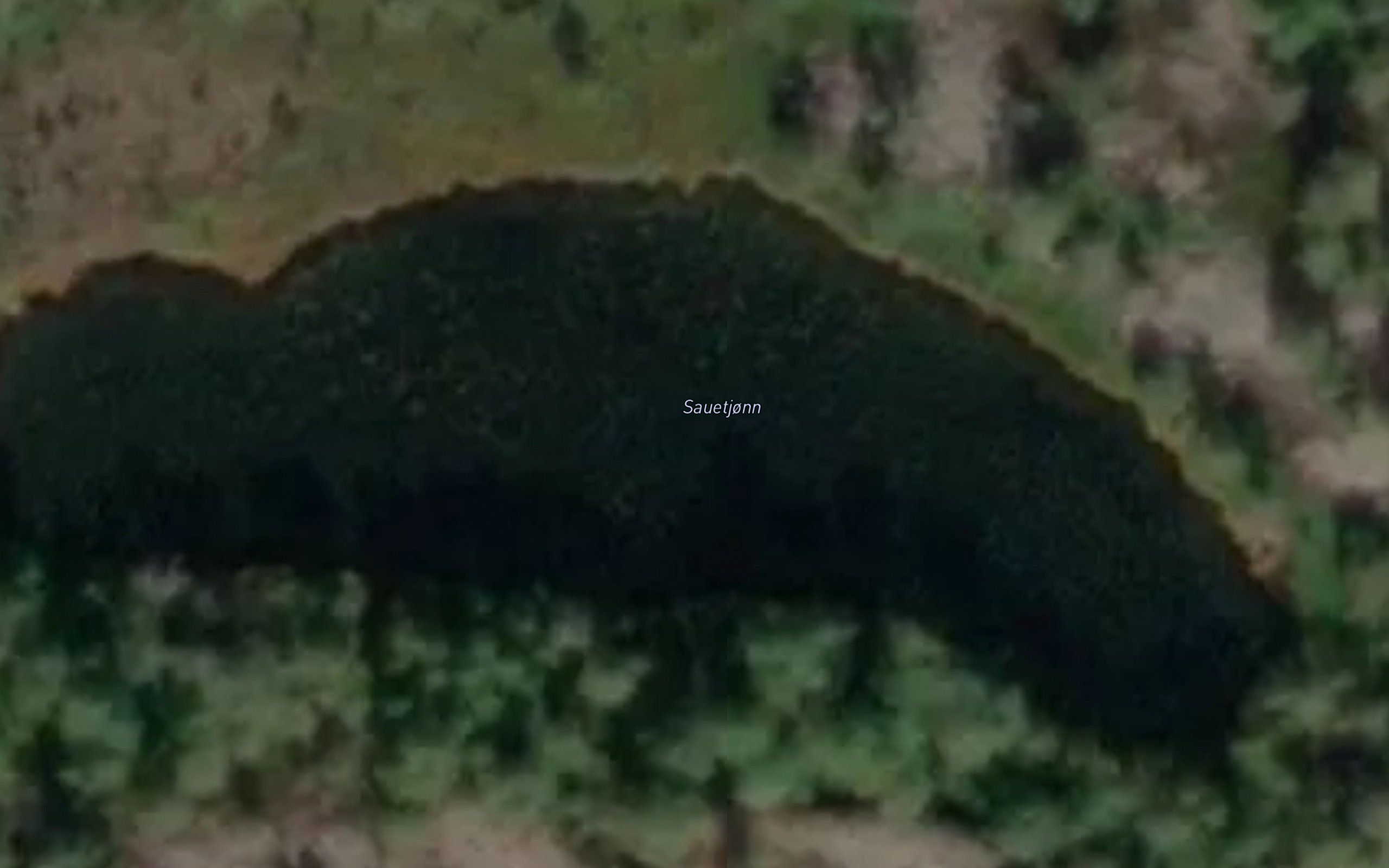 Sauetjonn