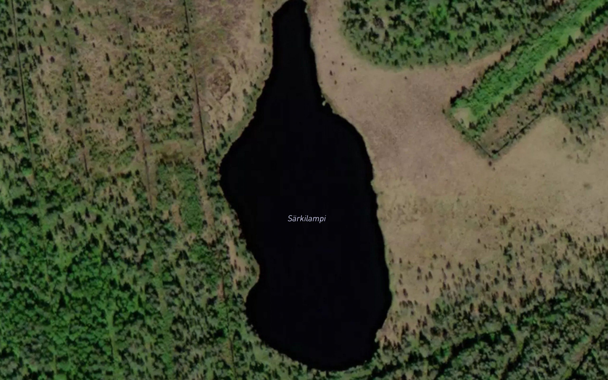 Sarkilampi