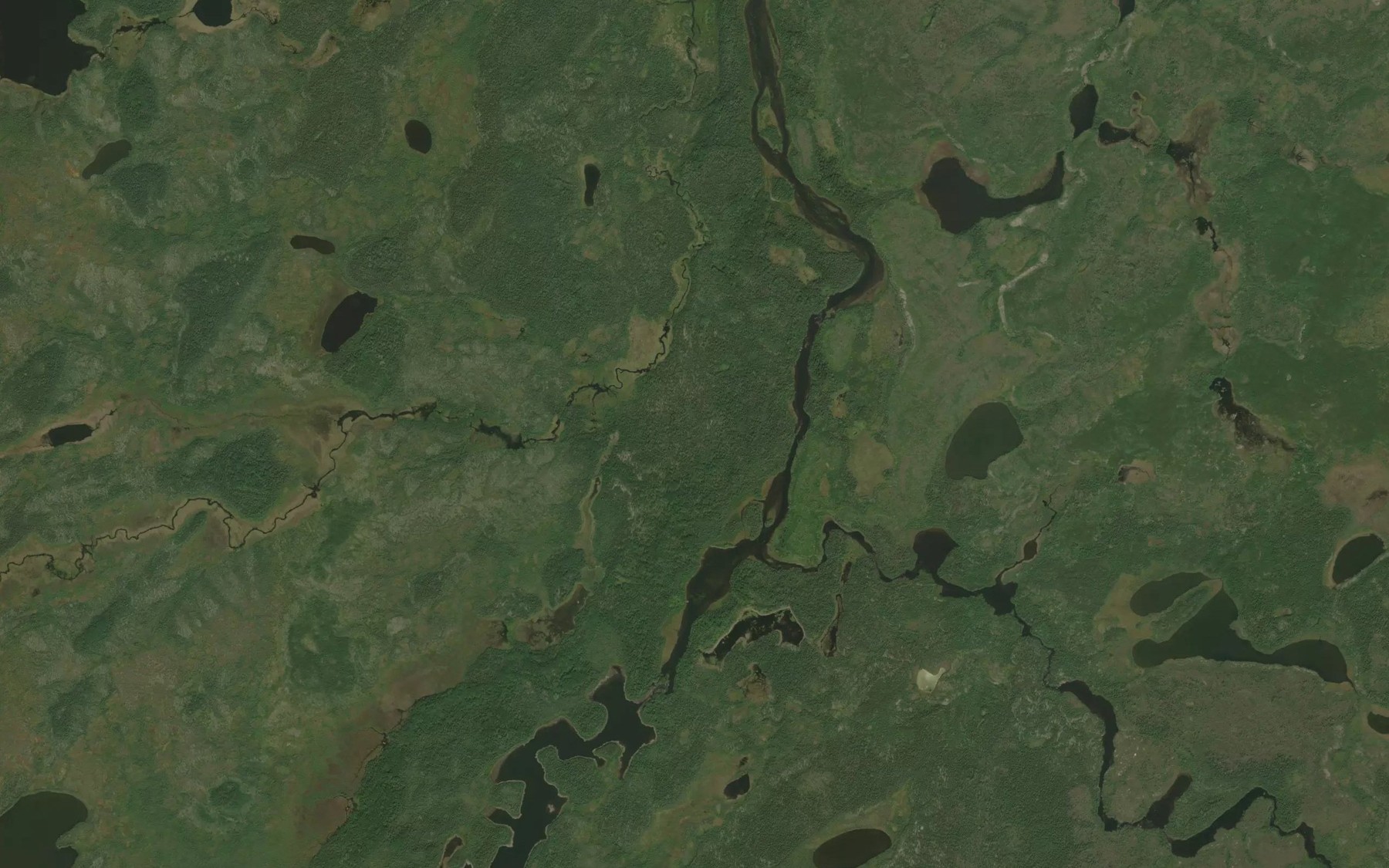 Satellite map of the Ellard River