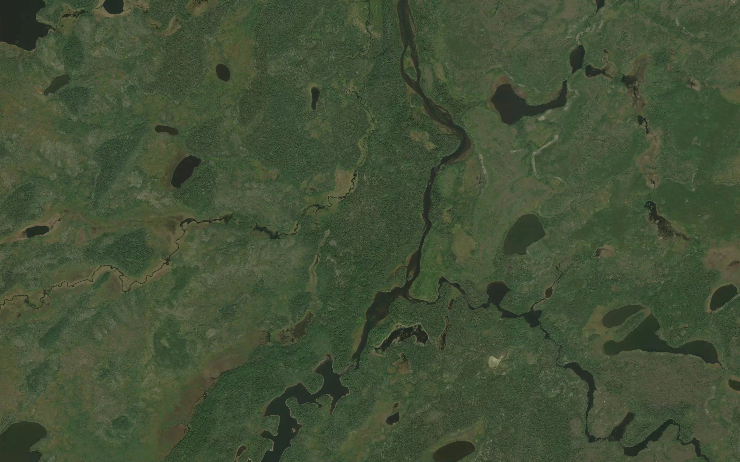 Ellard River
