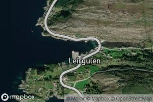 Leirgulpollen