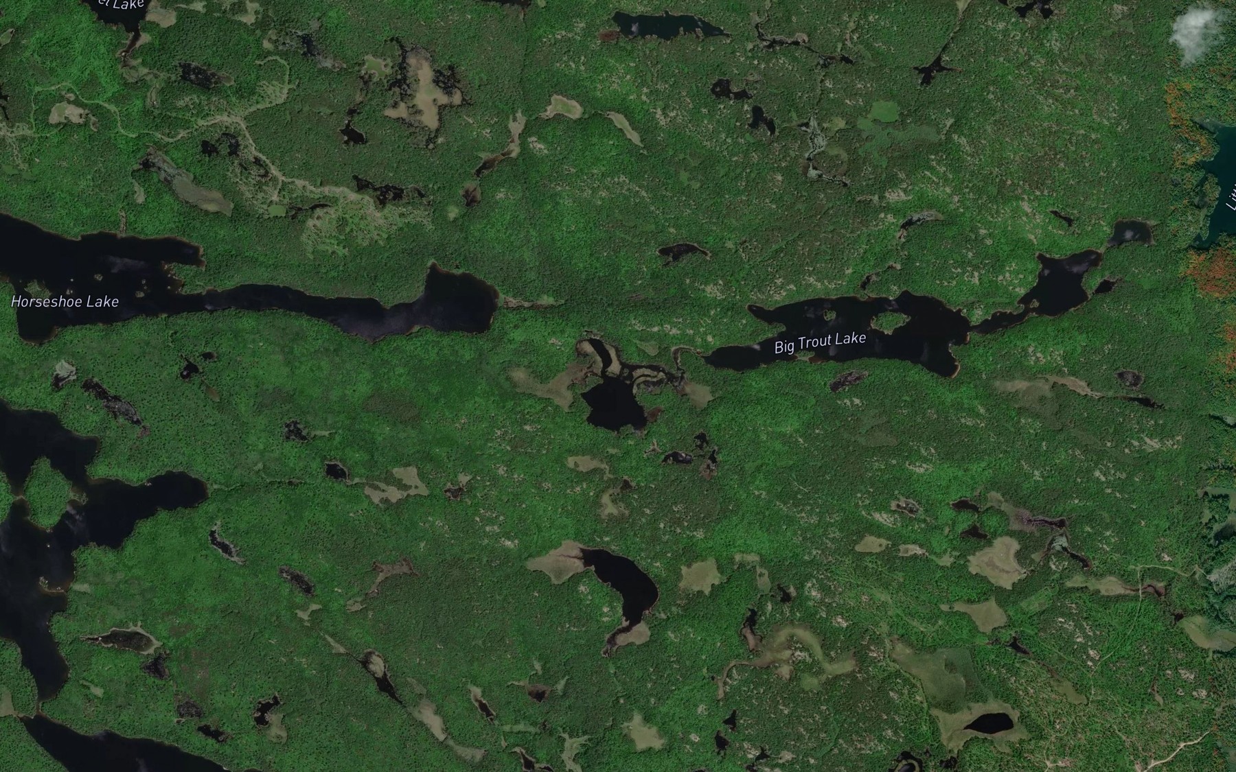 Satellite map of the Stong Lake