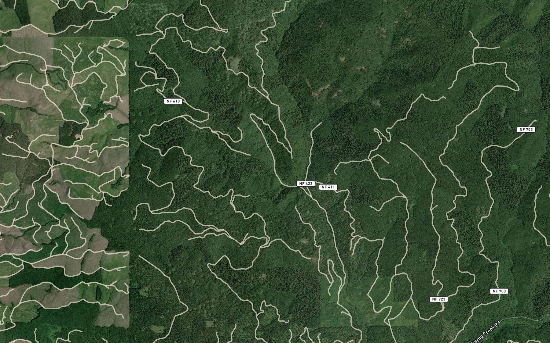 Satellite map of the West Fork Junetta Creek