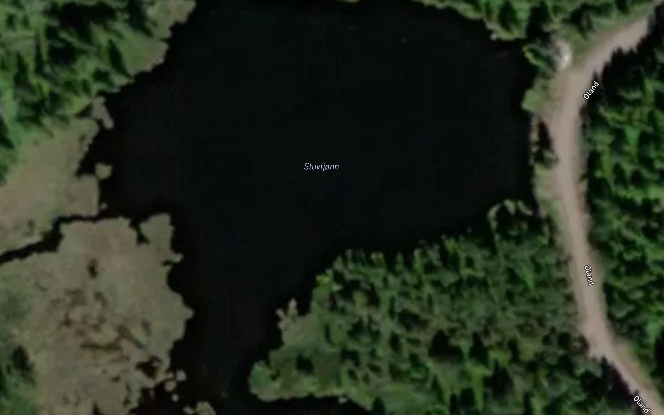 Stuvtjorn
