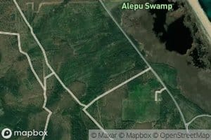 Spazma