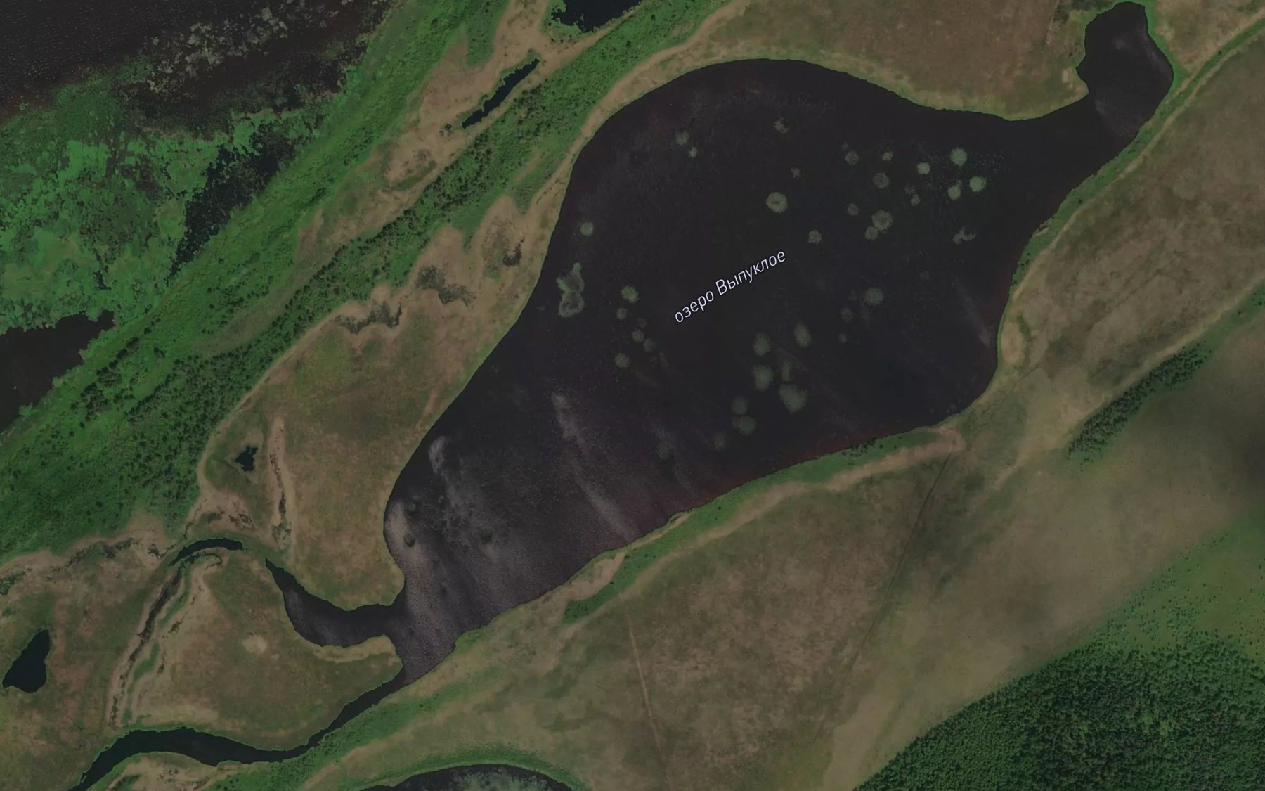 Satellite map of the Ozero Vypukloye