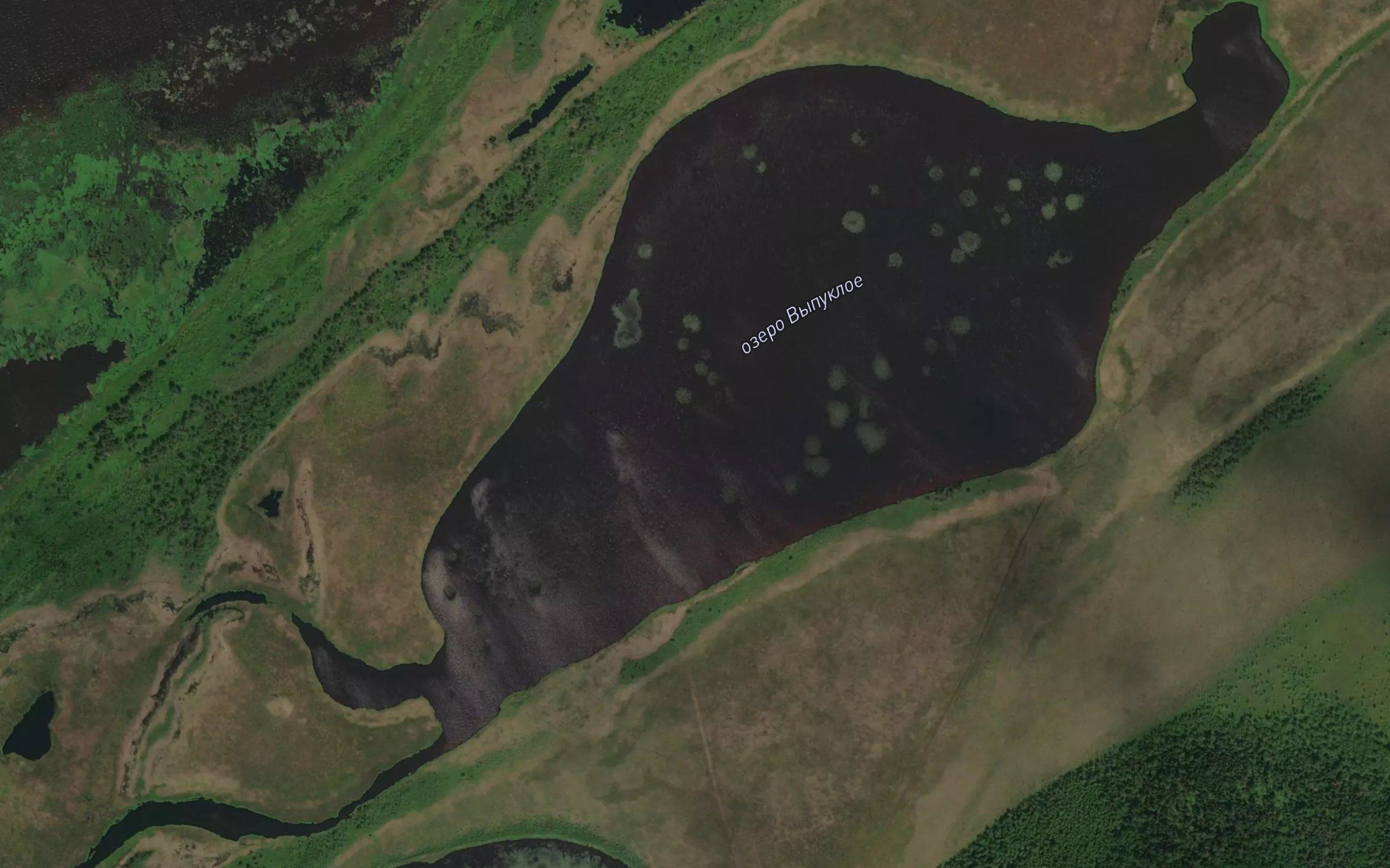 Ozero Vypukloye