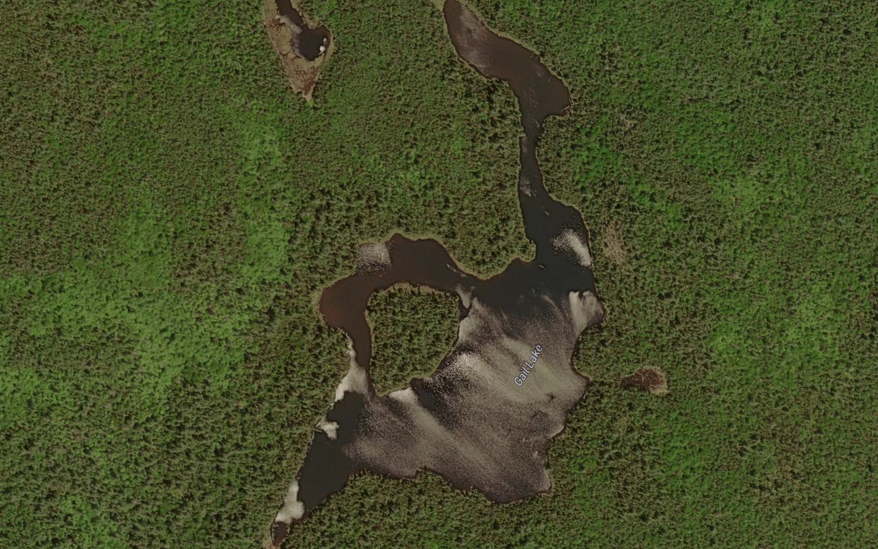 Satellite map of the Gail Lake