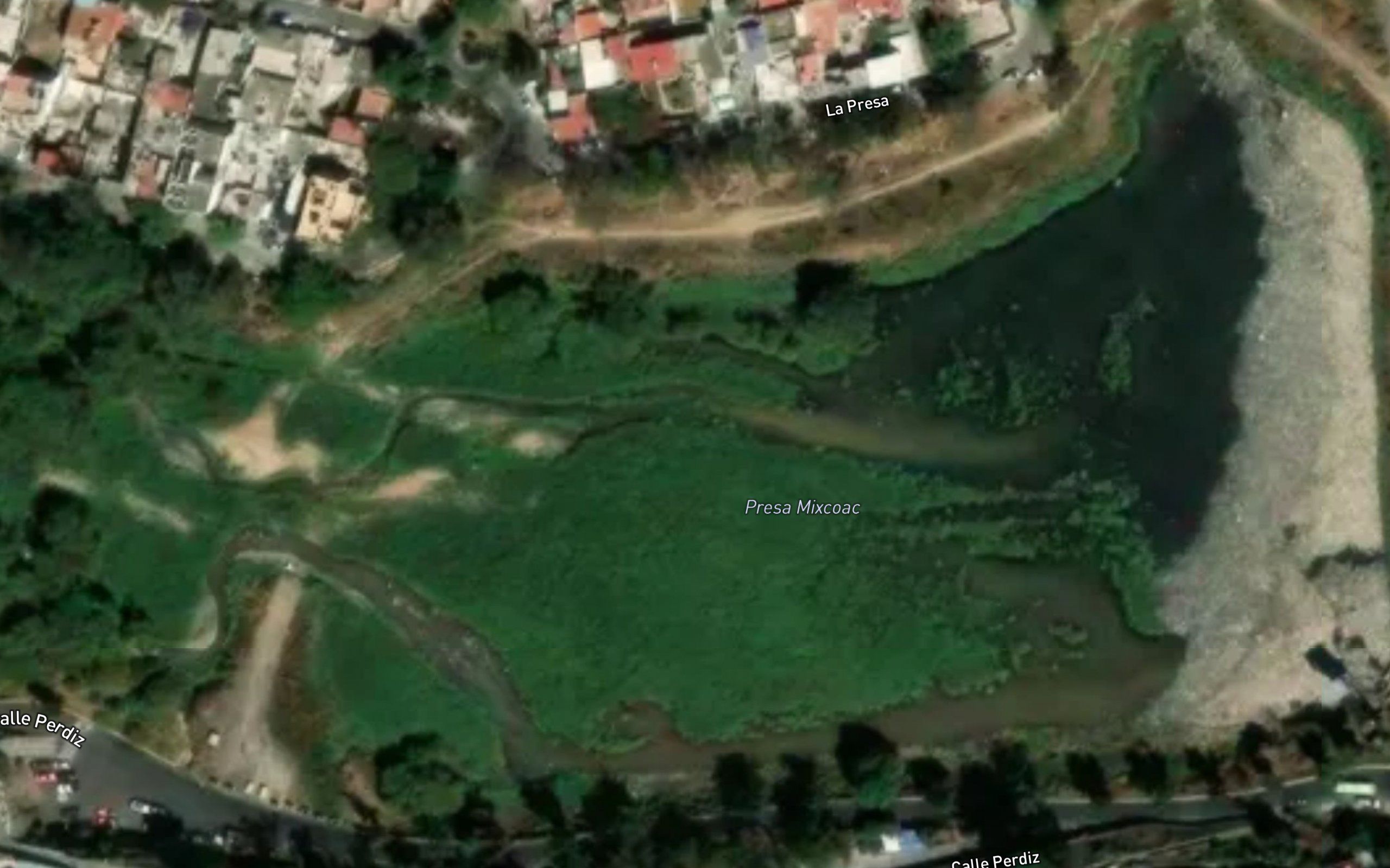 Santo Desierto