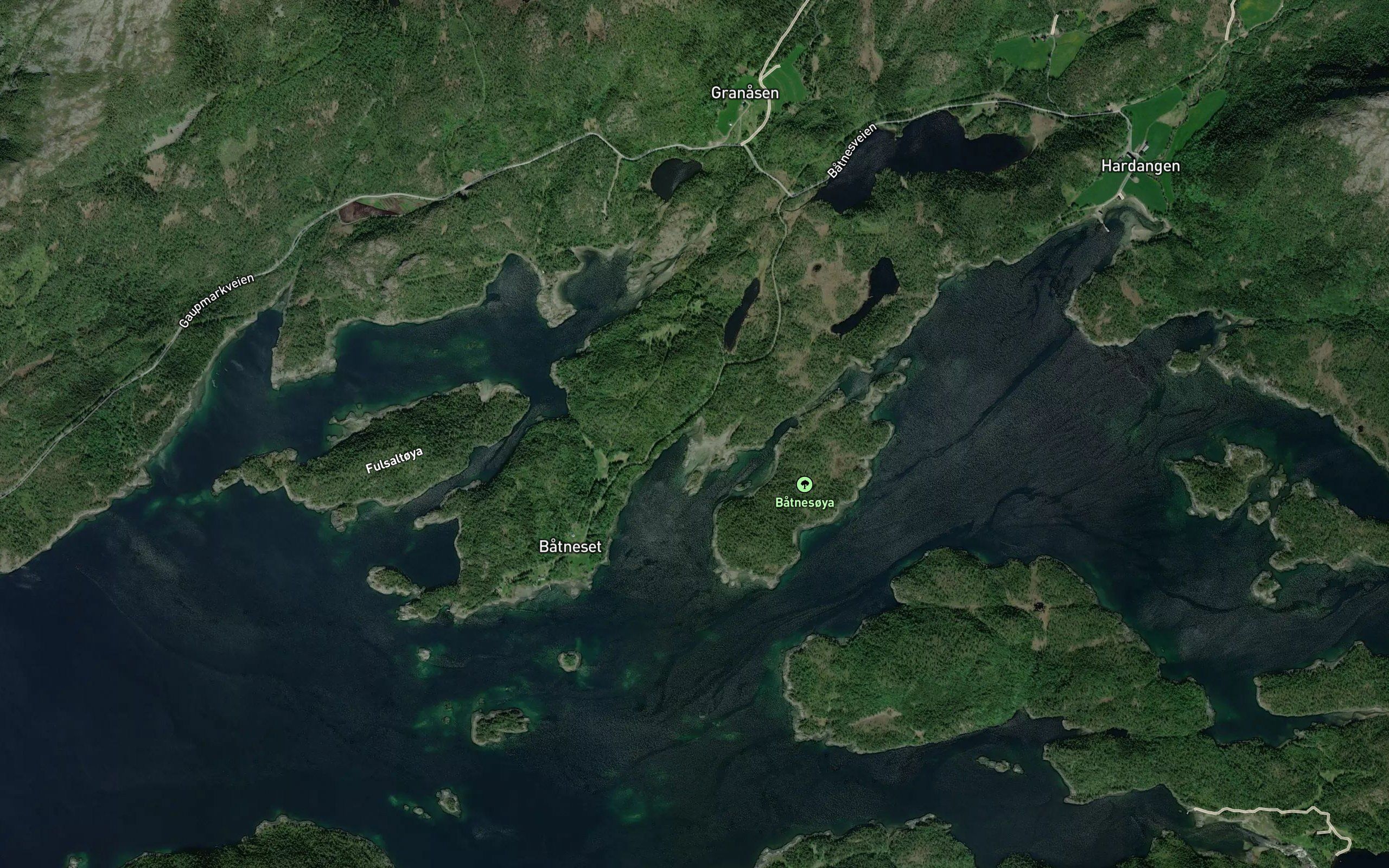 Trongvika