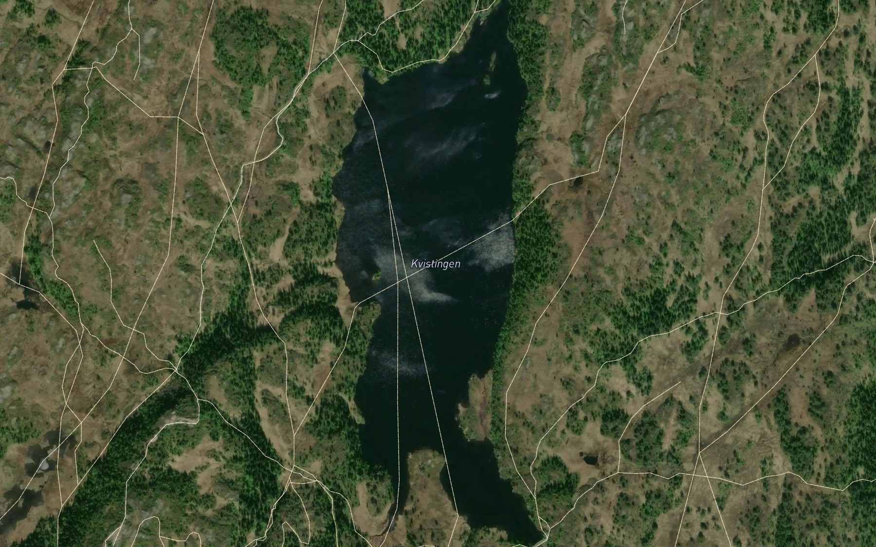 Satellite map of the Kvistingen