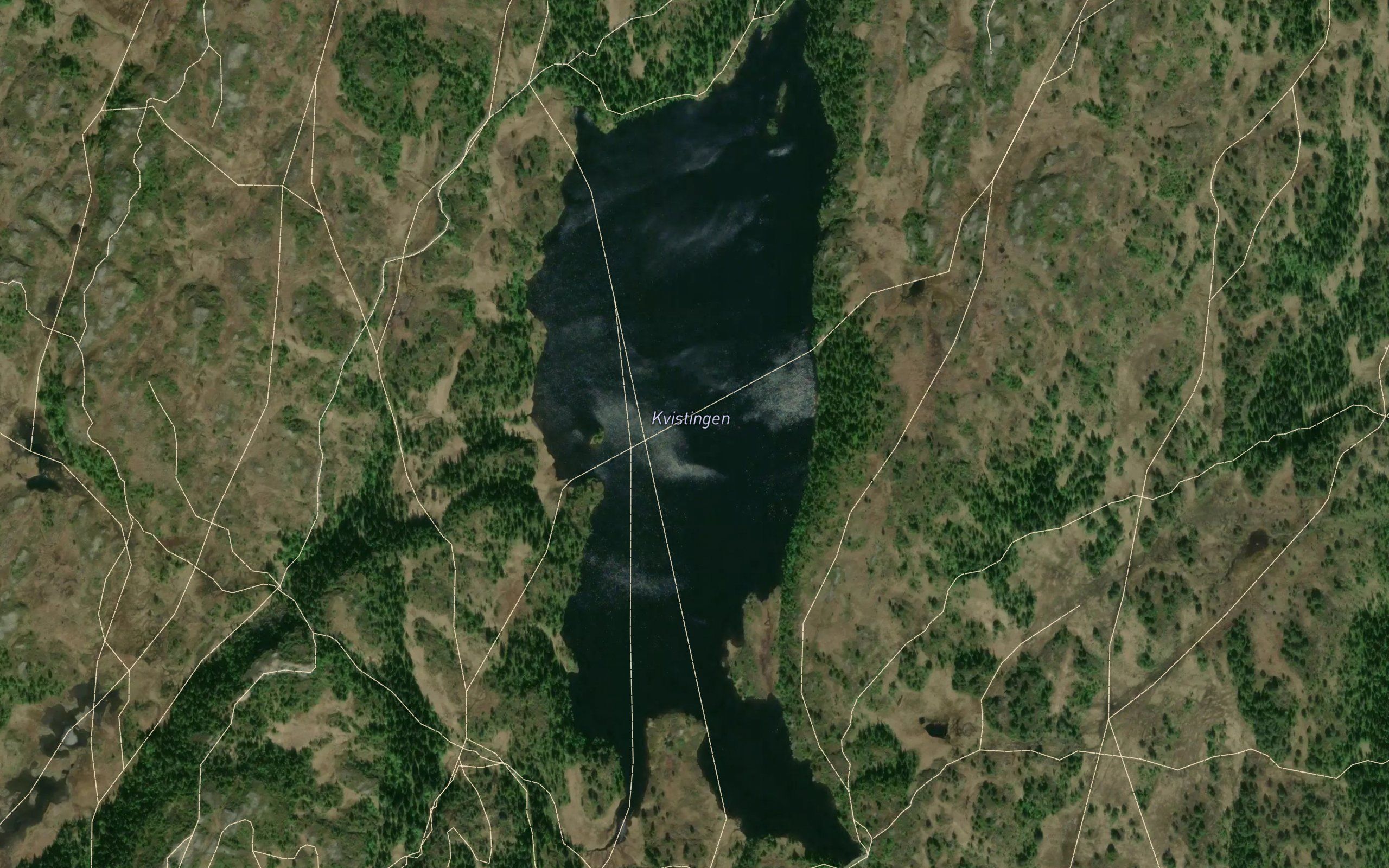 Kvistingen