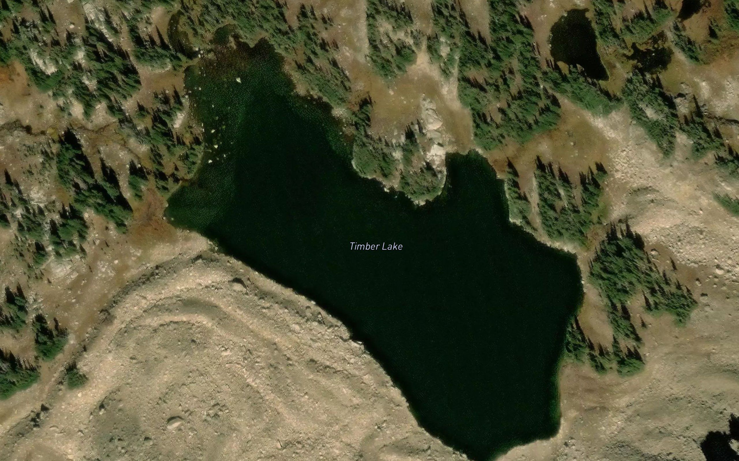 Timber Lake