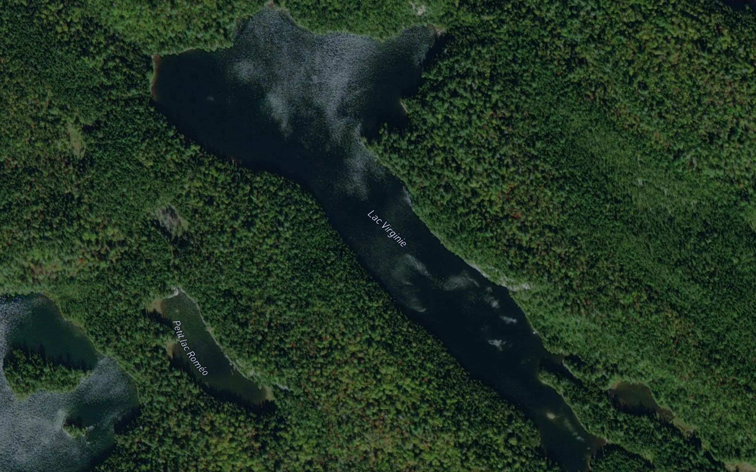 Lac Virginie