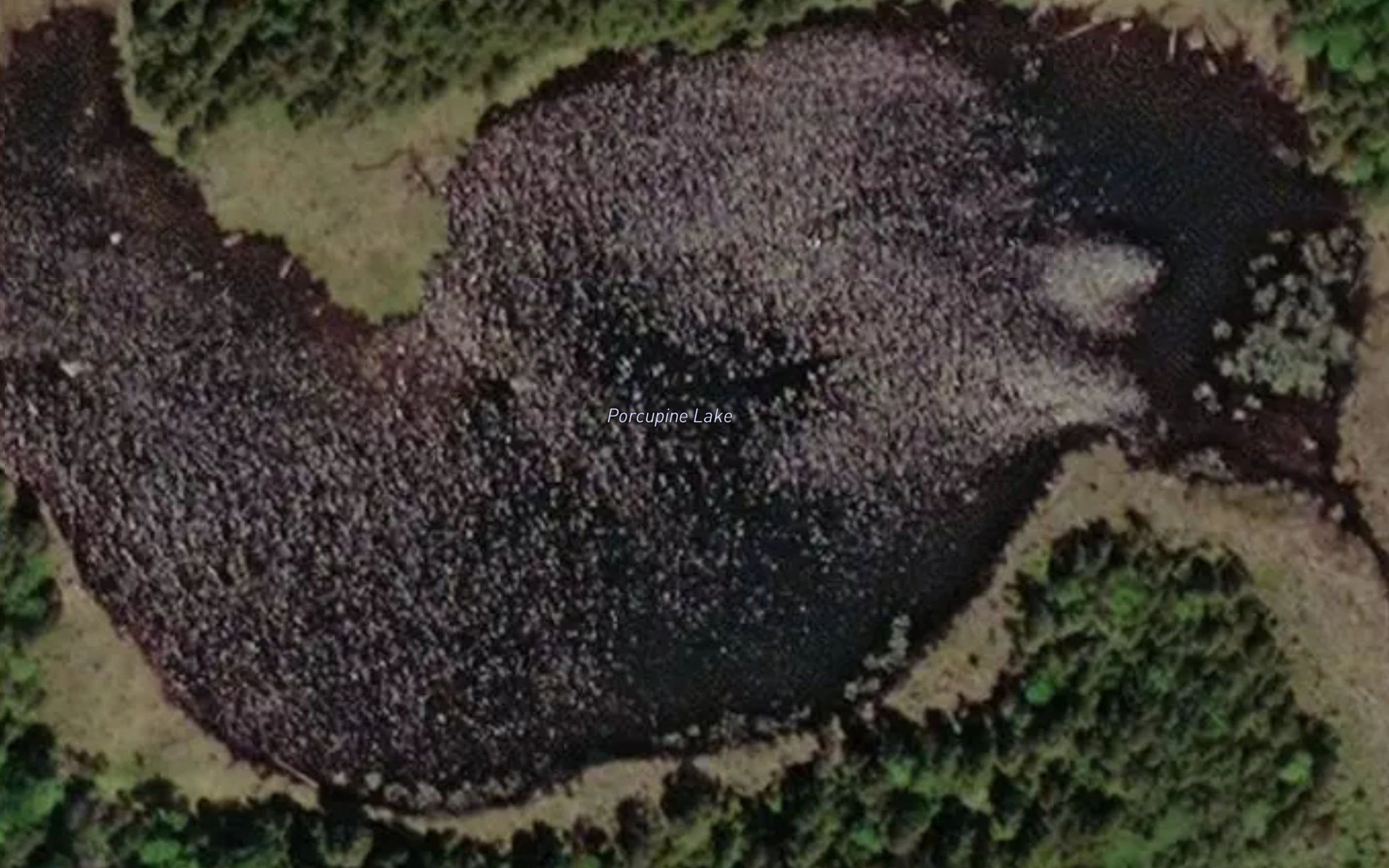 Porcupine Lake