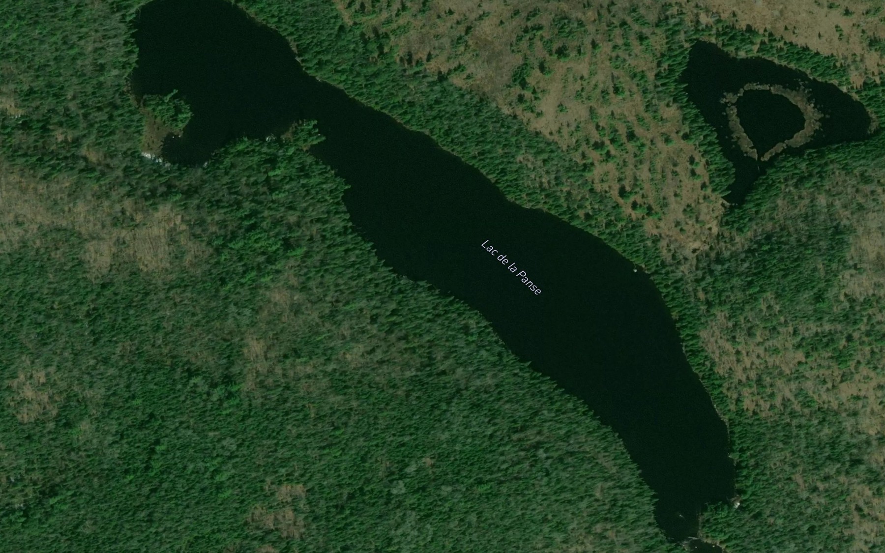 Satellite map of the Lac de la Panse