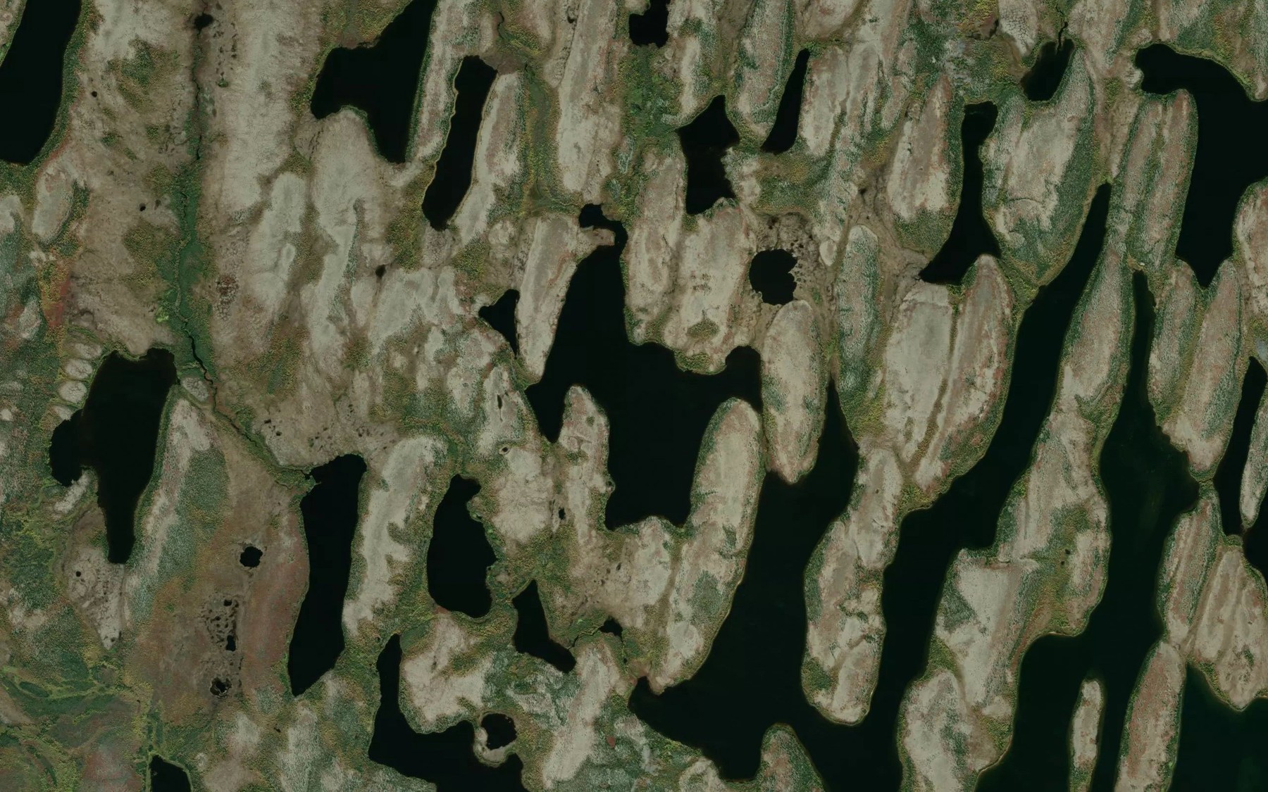 Satellite map of the Shack Lake