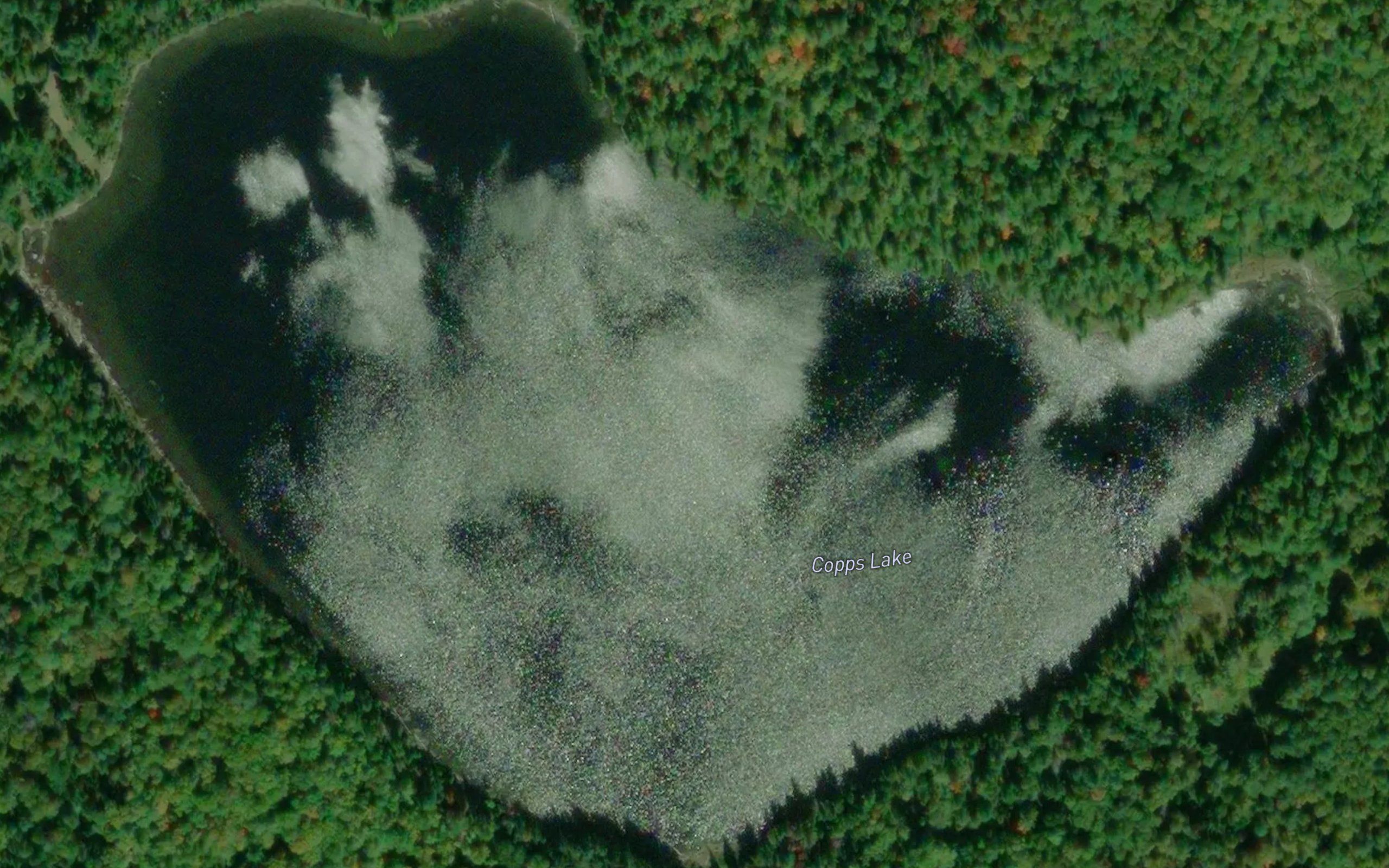 Copps Lake