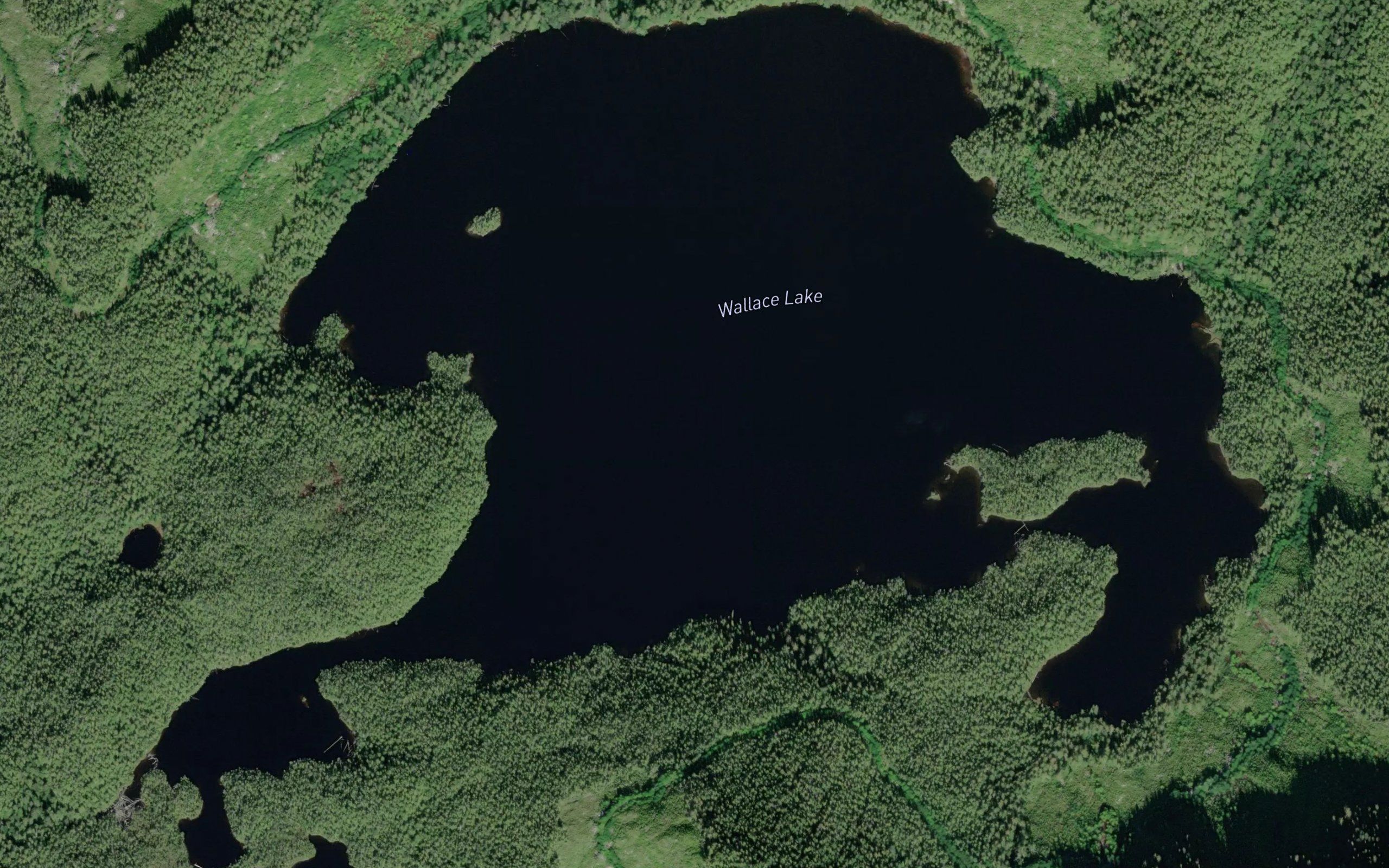 Wallace Lake