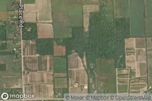 Dixon Drain