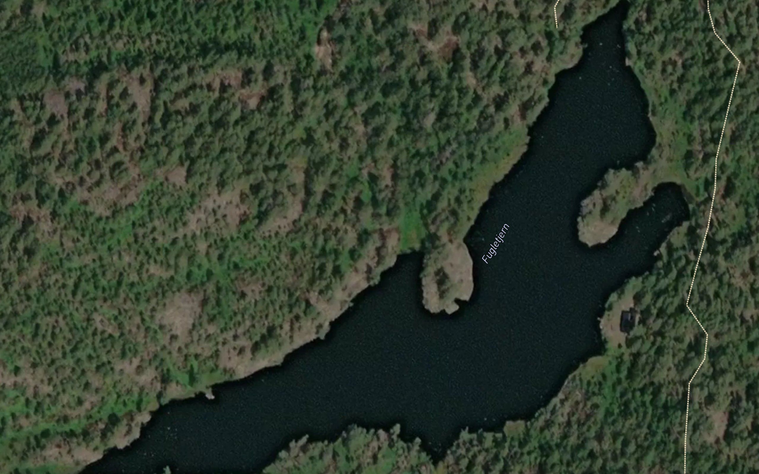 Fugletjern
