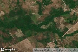 Igarape Sao Raimundo